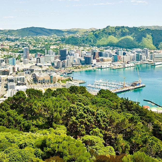 View of Wellington from Mt Victoria - Book Your Trip to New Zealand - New Zealand Travel Agency