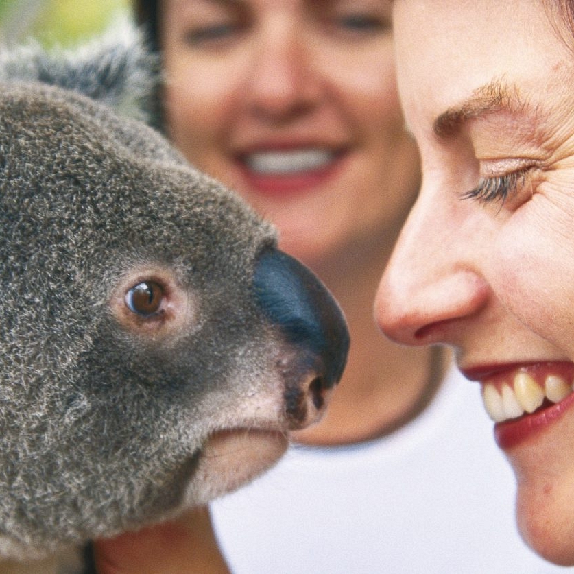 Australia Wildlife, Reef, Outback Vacations