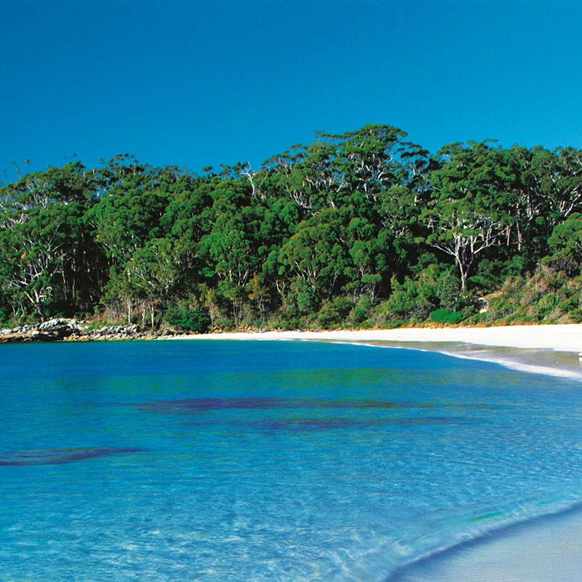 Australia Family Vacation Packages: Sydney and Batemans Bay