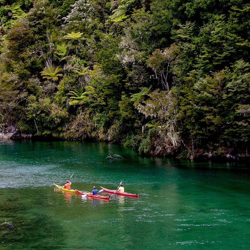 New Zealand Vacation - Abel Tasman National Park