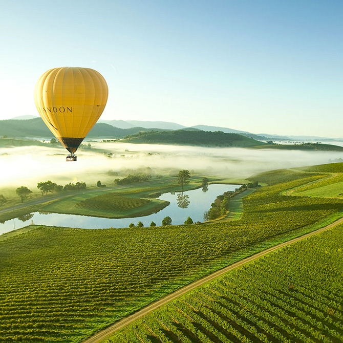 Hot Air Balloon Over Yarra Valley Wine Region