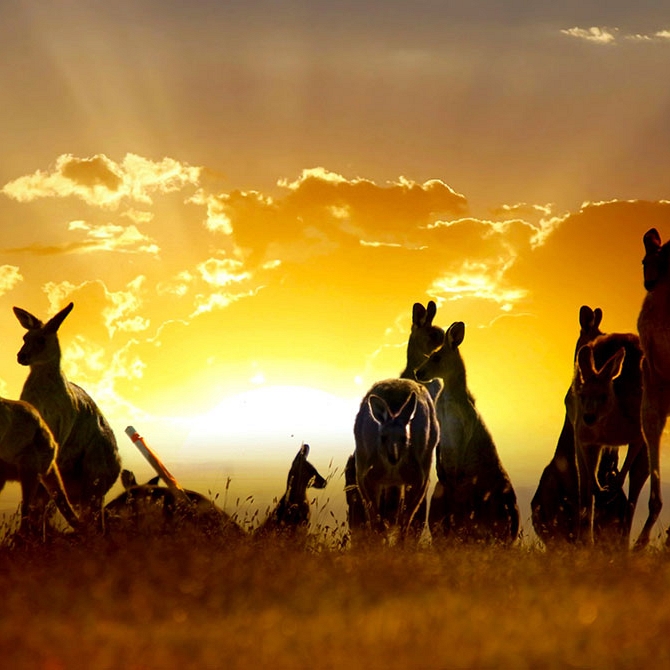 Down Under Endeavours - Luxury Travel Agency - Careers in Travel