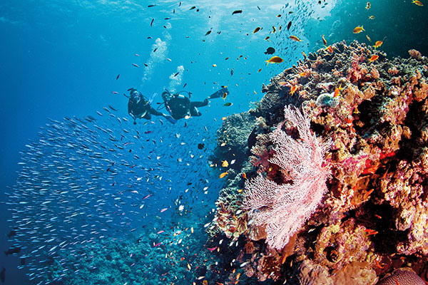 Great Barrier Reef Vacations Australia