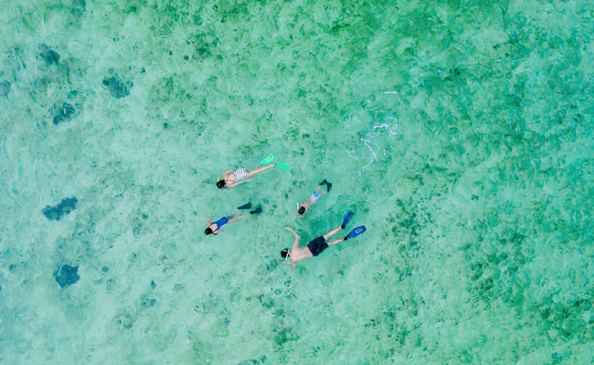 Snorkeling in Vita Levu - Intercontinental Fiji - Fiji Islands - Fiji Island Resorts