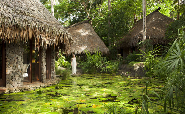 Forested spa at Laucala - Laucala Resort - Fiji Islands - Fiji Island Resorts
