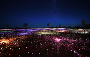 Field of Light at Ayers Rock lit up under a starry sky