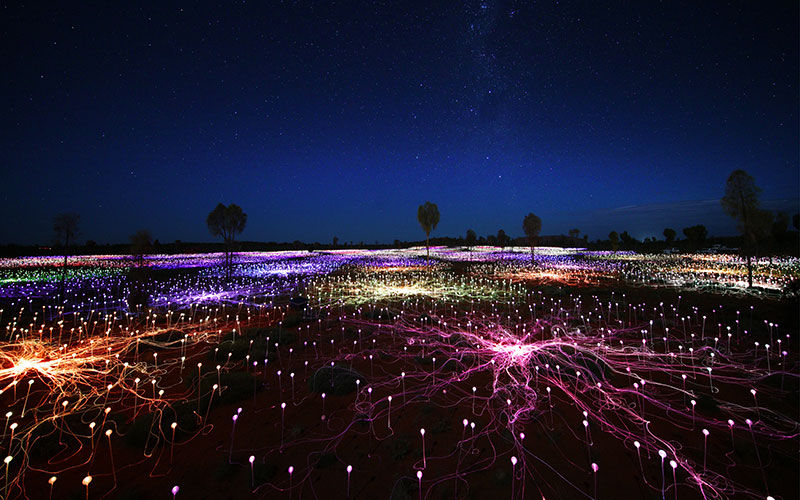 Field of Light lit up under a starry sky