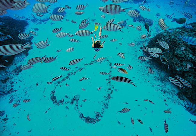 Woman Snorkeling with Tropical Fish in French Polynesia