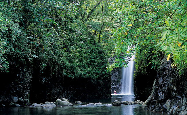 Waterfall in a Jungle - Taveuni Island Resort - Fiji Travel - Trip to Fiji