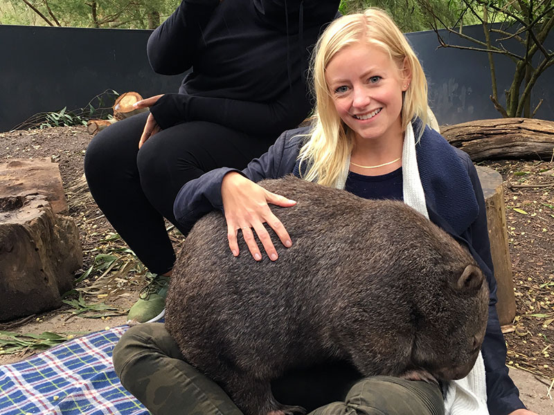 Cuddling Maggie the wombat at Healesville Sanctuary in Australia - Laura Tober, luxury travel designer