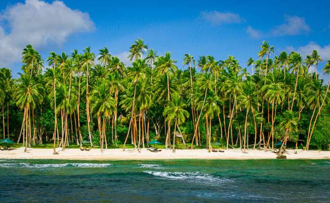 Palm Lined Beach - Namale Resort & Spa - Fiji Must See Places