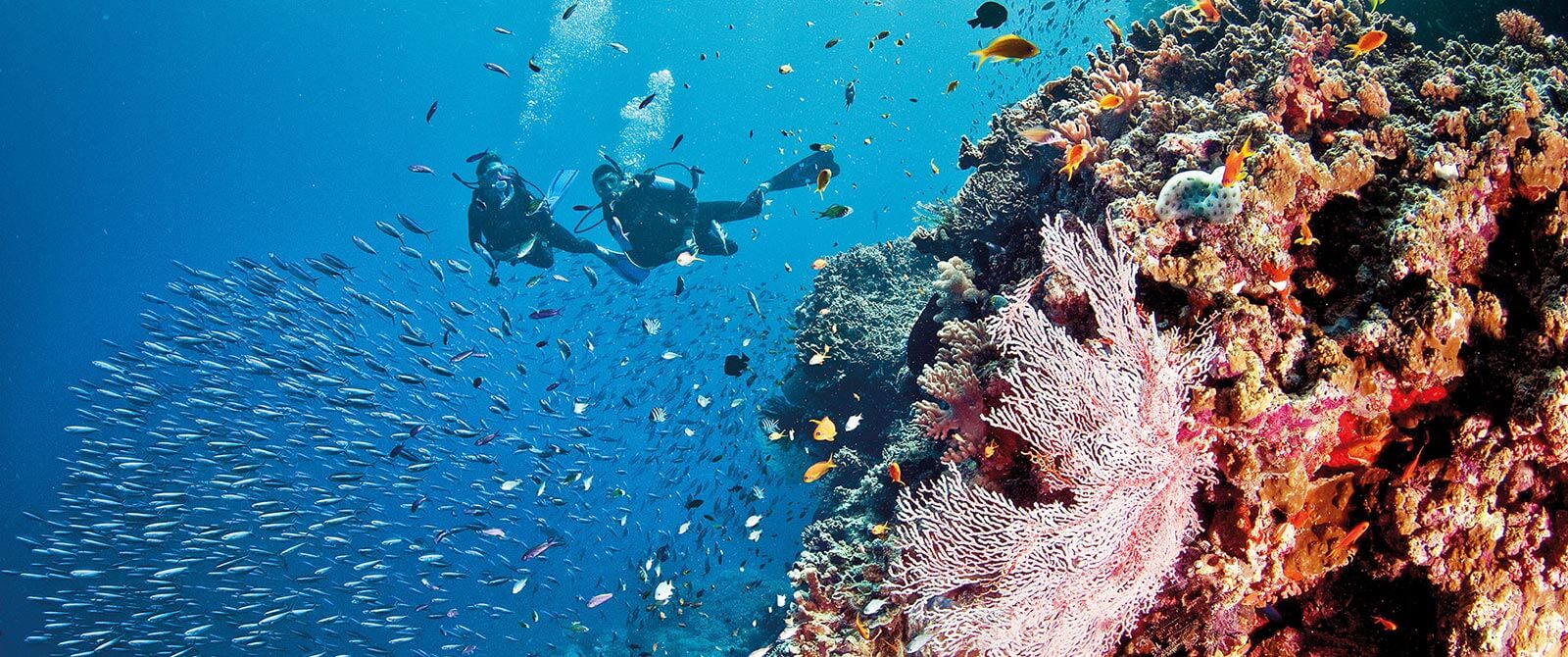 Diving the Great Barrier Reef - Book Your Australia Vacation - Australia Travel Agency