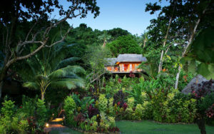 Matangi Private Island Resort Fiji - Treehouse Surrounded by Tropical Gardens
