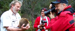 Best of Tasmania Vacations: Highlights of Tasmania - Wildlife Tour