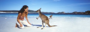 Australia - Kangaroo - Mamanuca Islands