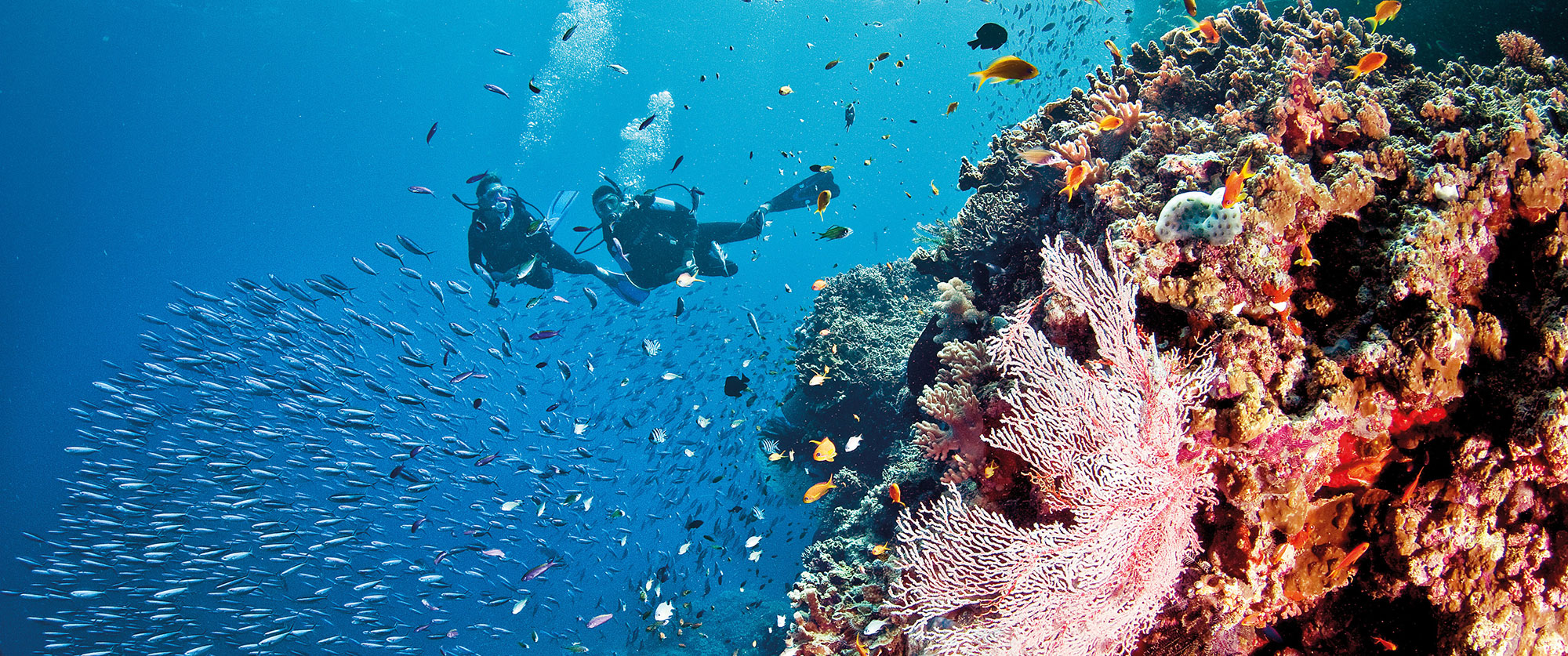 Australia Honeymoon - Snorkel and dive in the Great Barrier Reef, a scuba diver's paradise