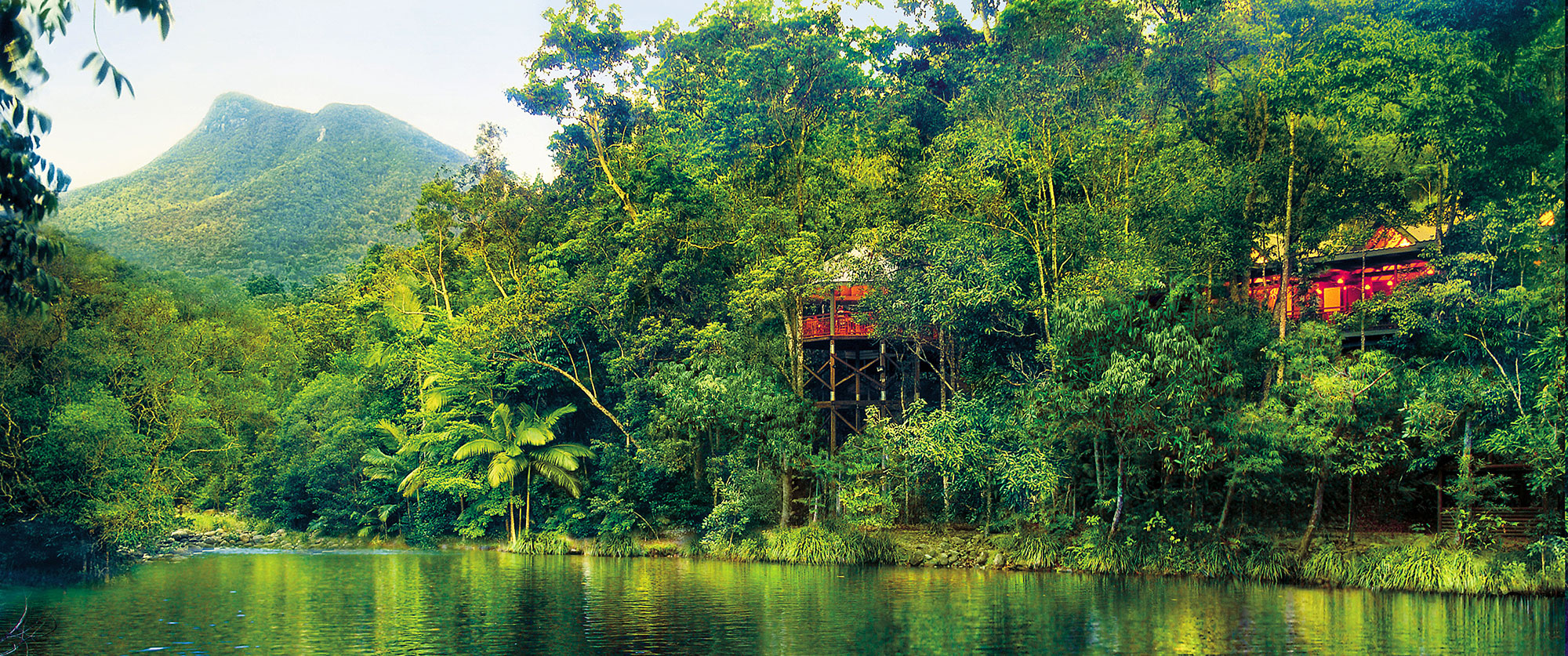 Australia Daintree Rainforest Silky Oaks Lodge