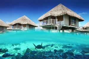 Bora Bora Overwater Bungalow - Honeymoon Vacation in Tahiti