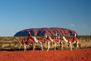 Australian Outback Family Adventure - Uluru Camel Tour
