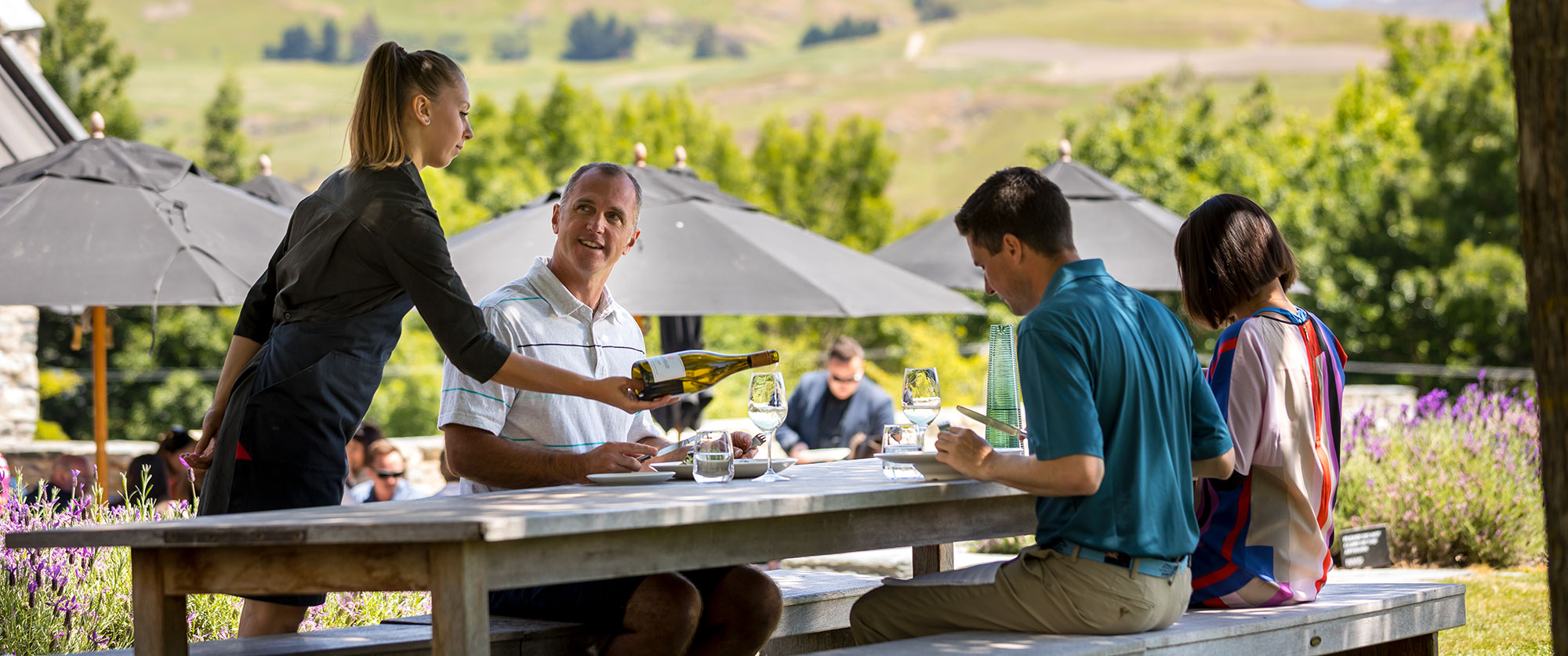 New Zealand Wine Vacations: Unique Food and Wine