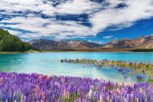 New Zealand Luxury Vacations - Lake Tekapo