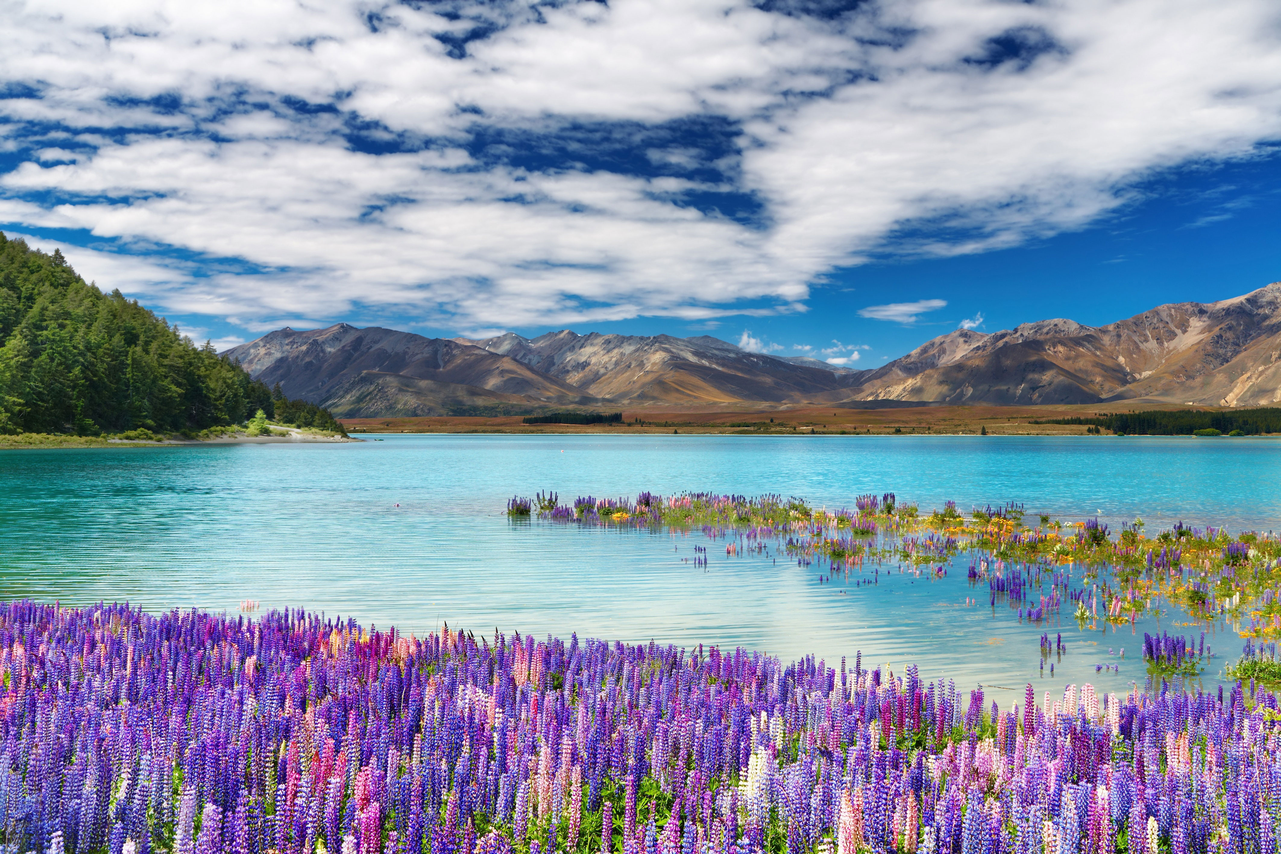 Самая красивая картинка природы в мире. Озеро Текапо. Текапо новая Зеландия. Озеро Текапо в новой Зеландии фото. Озеро Текапо в новой Зеландии звезды.