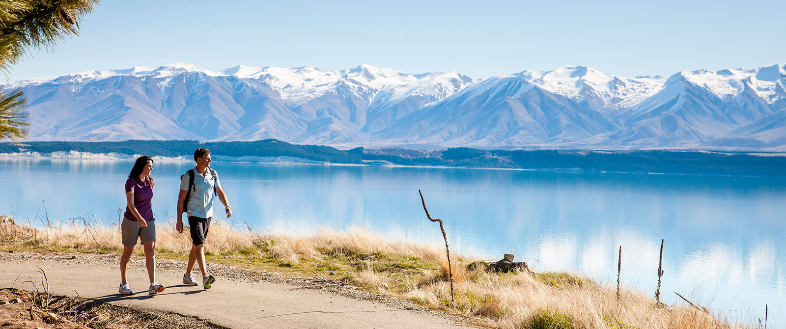 Scenic Walks in Mt Cook and Aoraki - Book Your Trip to New Zealand - New Zealand Travel Agency