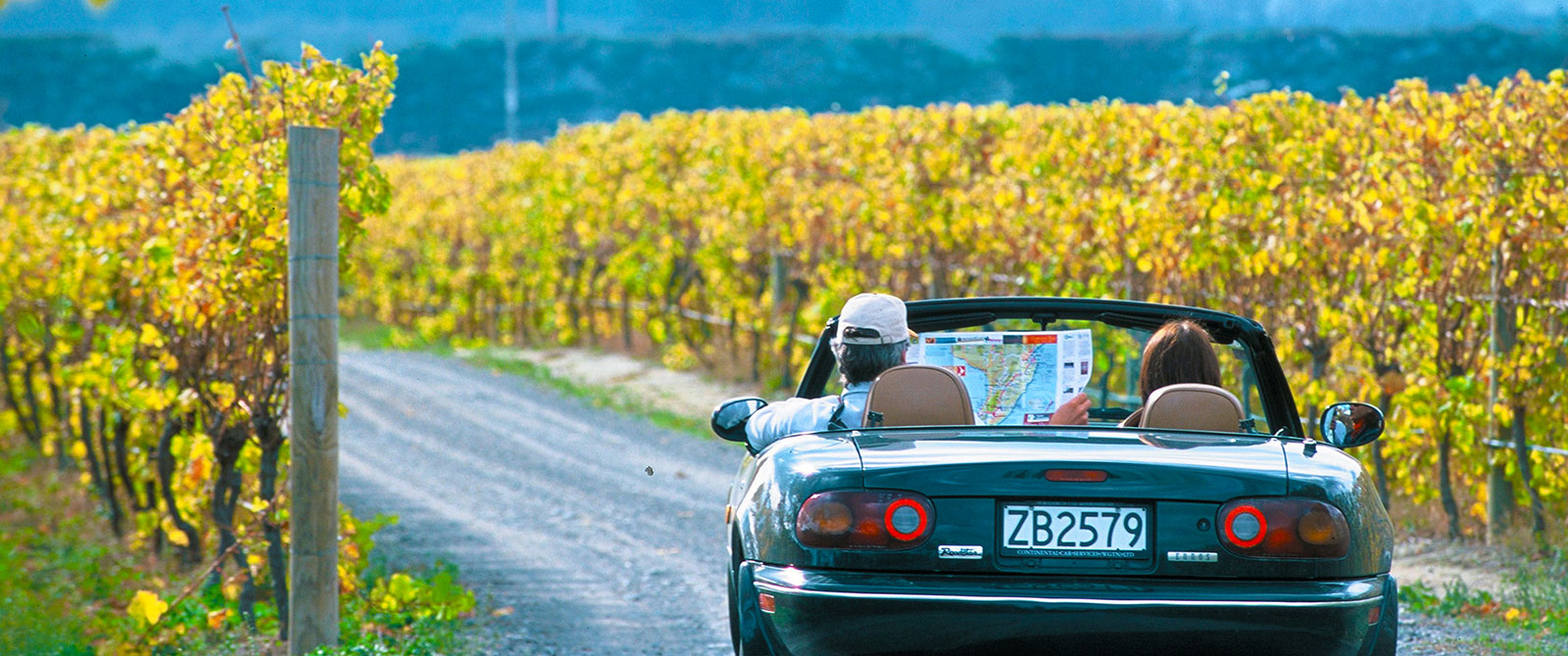 Self Driving the New Zealand Wine Trail - Book Your Trip to New Zealand - New Zealand Travel Agency