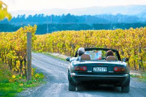 Self Driving the New Zealand Wine Trail - Book Your Trip to New Zealand - New Zealand Travel Agency