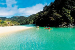 Sea Kayaking in Abel Tasman National Park - Book Your Trip to New Zealand - New Zealand Travel Agency