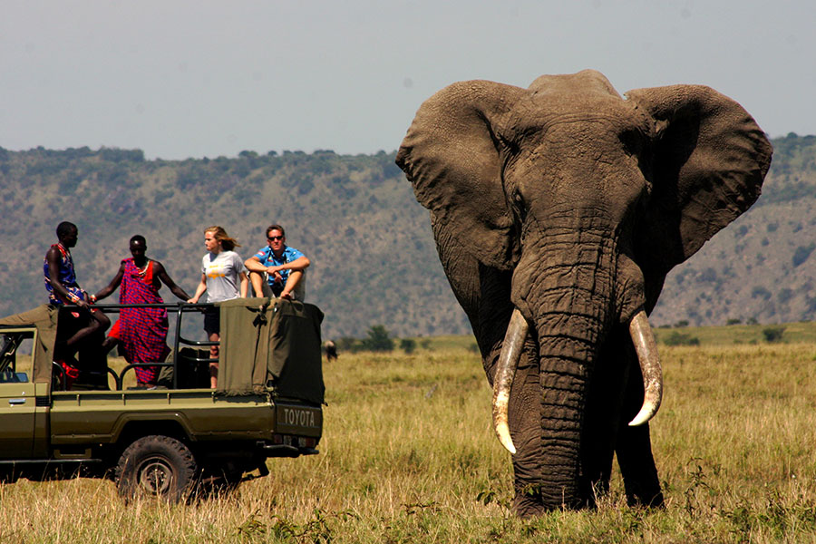 Africa Vacation Packages - Africa Vacation - Africa - Travel Specialists - handcrafted