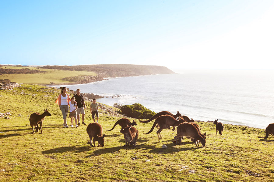 Family on Kangaroo Island Australia - Best Multigenerational Family Vacations