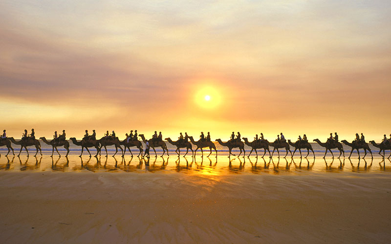 Camel Trekking on Cable Beach at Sunset