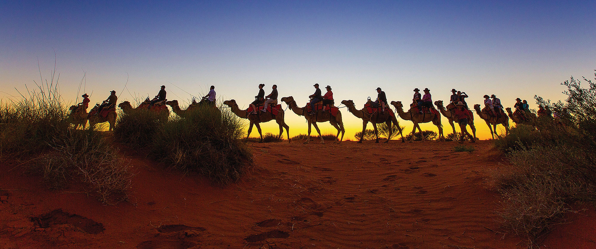 Australia Outback Vacation Uluru Camel Ride