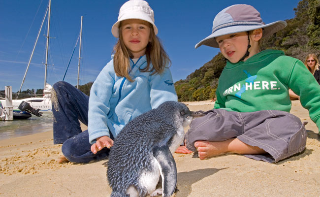 Two kids by a little blue penguin - Tourism New Zealand - Wildlife Travel