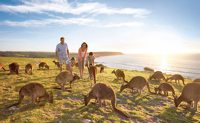 Australia Family Vacations - Kangaroo Island Wildlife Vacations