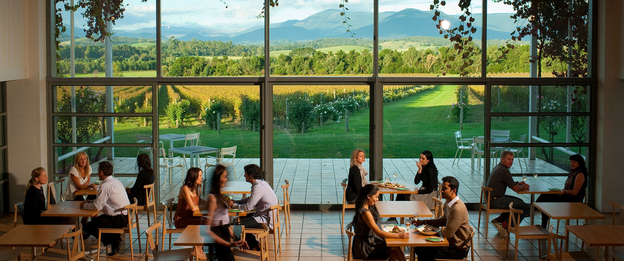 Dining at Domaine Chandon winery in the Yarra Valley, Melbourne, Victoria, Australia