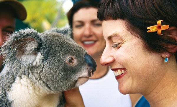 Australia wildlife vacation cuddle with koala