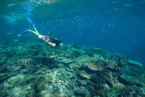 Is All Inclusive Right for You - Snorkeling Fiji