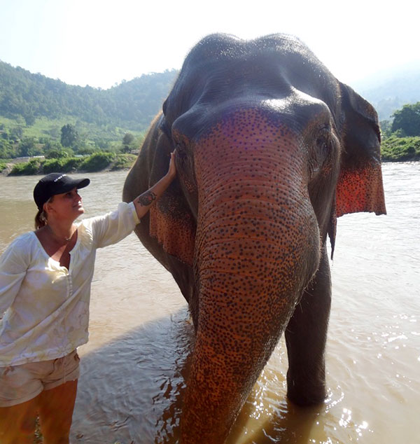 Why Visit Southeast Asia - Elephant Nature Park, Chiang Mai, Thailand