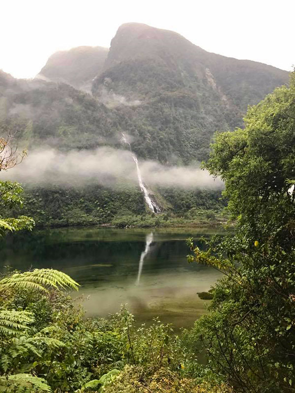 New Zealand Trips - Best Places to Go - Doubtful Sound Wilderness Cruise