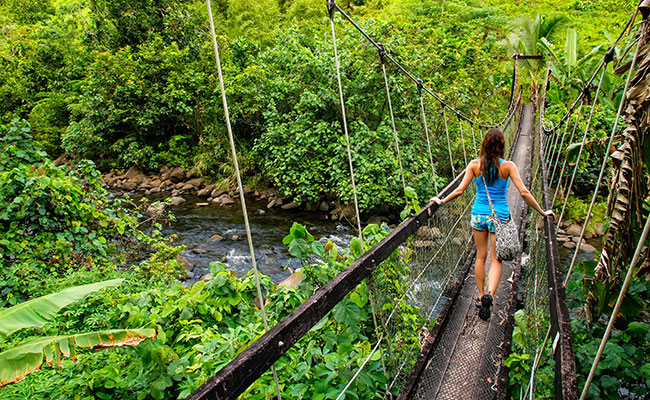 5 Reasons to Go Hiking in Fiji - Lavena Coastal Walk, Taveuni Island Fiji