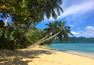Best of Fiji - Best Beaches, Matangi Private Island Resort, Horseshoe Bay