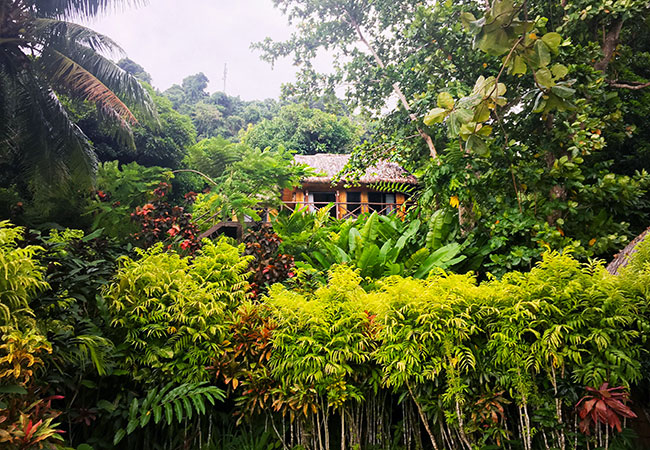 Best of Fiji - Jungle Treehouse at Matangi Private Island Resort