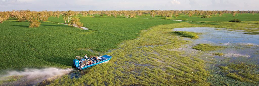 Unleash your sense of adventure with an airboat safari at Wildman Wilderness Lodge!
