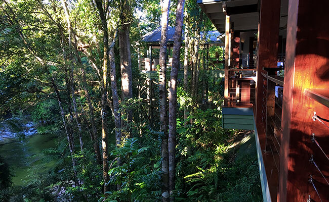 Silky Oaks Lodge - View from Treehouse Restaurant - Vanessa Massey - Australia Travel Agents