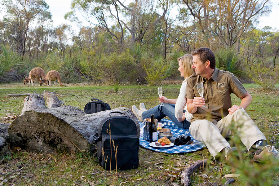 Iconic Australia Vacations - Breakfast with the Roos