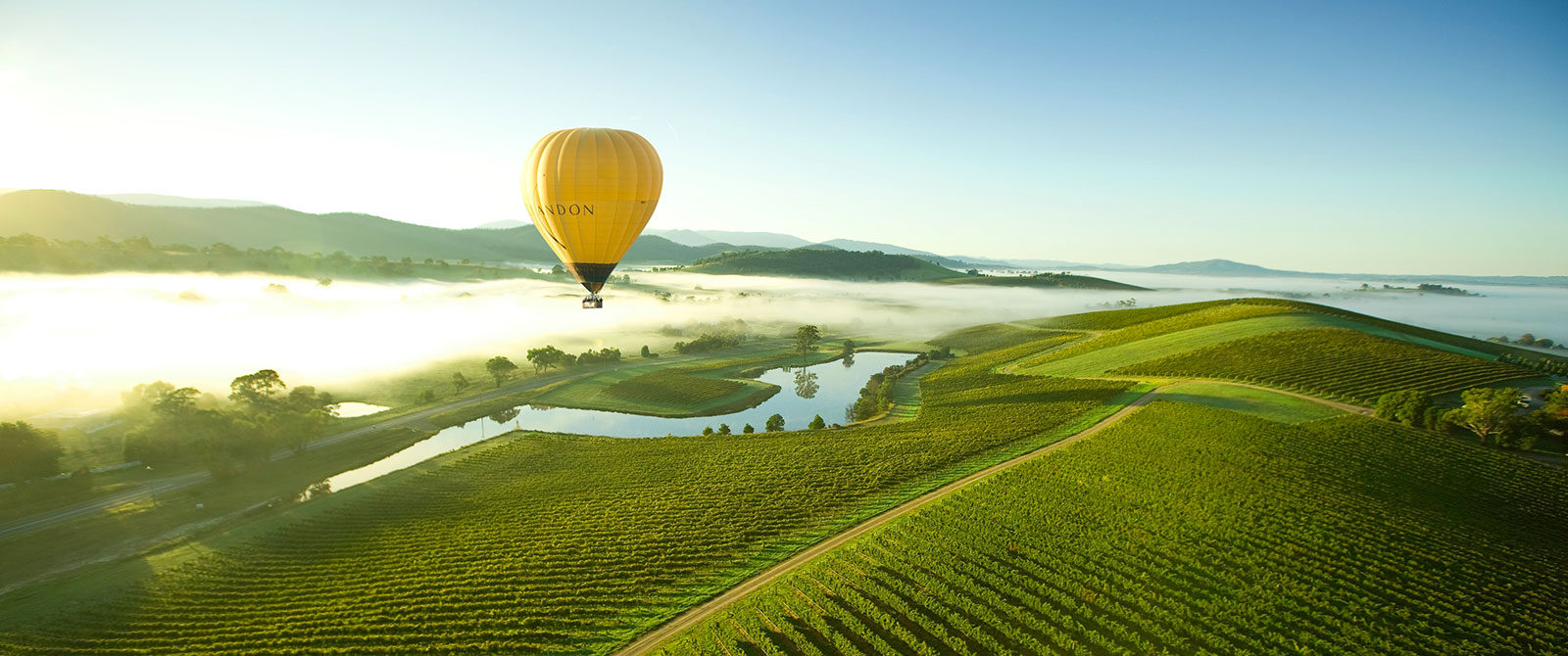 Hot Air Balloon Over Yarra Valley Wine Region