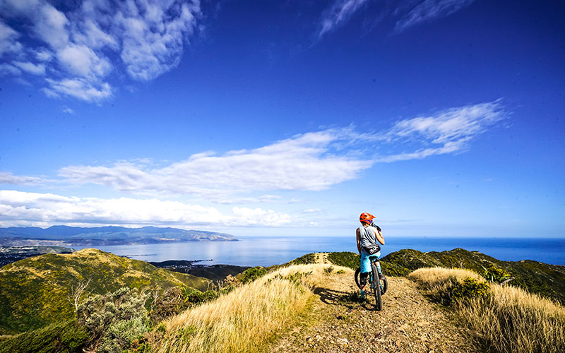 Cycling in Wellington with ocean views