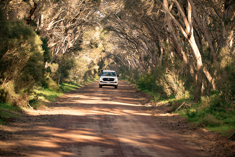 4WD Tour Vehicle - Exceptional Kangaroo Island Wildlife Tours